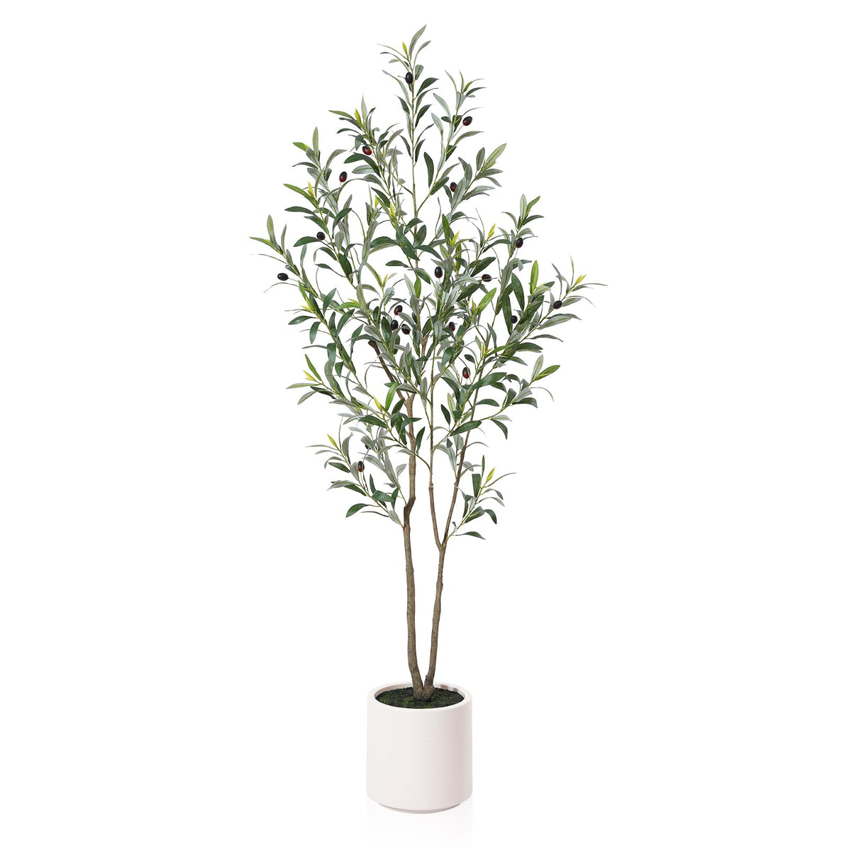 LOMANTO Artificial Olive Trees, 5 ft Tall Fake Olive Trees for Indoor, Faux Olive Silk Tree, Large Olive Plants with White Planter for Home Decor and Housewarming Gift, 1 Pack LOMANTO