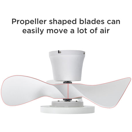 ocioc Quiet Ceiling Fan with LED Light 22 inch Large Air Volume Remote Control for Kitchen Bedroom Dining Room Patio ocioc