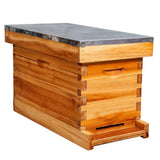 MayBee 5-Frame Nuc Beehive for Bees Complete Bee Hive Box Kit with Metal Roof Includes Wooden Frames & Waxed Foundations for Langstroth Beekeeping MayBee