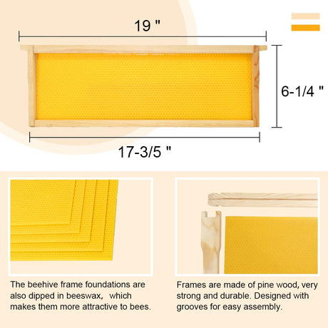BEEINN 10 Frame Bee Hive Box, Langstroth Medium Super Bee Box Dipped in 100% Beeswax Include Beehive Frames and Waxed Foundation Sheets (Unassembled) BEEINN