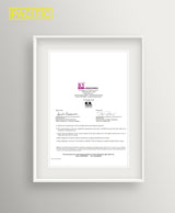 PACIFIC PPE Full Brim Hard Hat, OSHA Construction Work Approved, HDPE Safety Helmet with 4 Point Adjustable Ratchet Suspension, Class E, G & C, White PACIFIC PPE