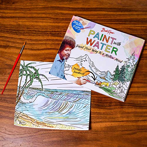 Bob Ross Paint with Water Thunder Bay Press