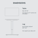 FLEXISPOT Standing Desk 48 Inches Whole-Piece Desk Board Electric Stand Up Desk Height Adjustable Desk for Home Office Sit Stand Desk(Black Frame + 48" Black Top) FLEXISPOT