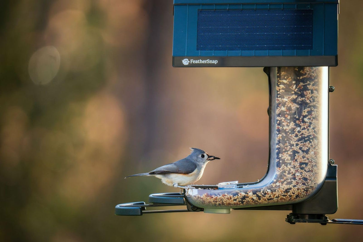 FeatherSnap Scout Wi-Fi Solar Powered Smart Bird Feeder - Automatically Captures HD Pictures and Videos! Best Gift for Bird Watchers! Dual Seed chamber - Feather Snap FeatherSnap