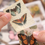 Diuhofart Scrapbook Kits for Adults Women, Aesthetic Stationery Scrap Booking Supples Kit with A6 Grid Notebook for Junk Journal Supplies, DIY Paper Craft Art Materials Diuhofart