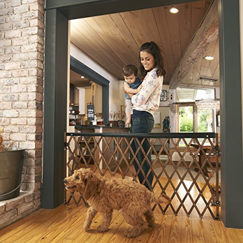 Evenflo Expansion Walk-Thru Room Divider Baby Gate (Farmhouse Collection) - WoodArtSupply