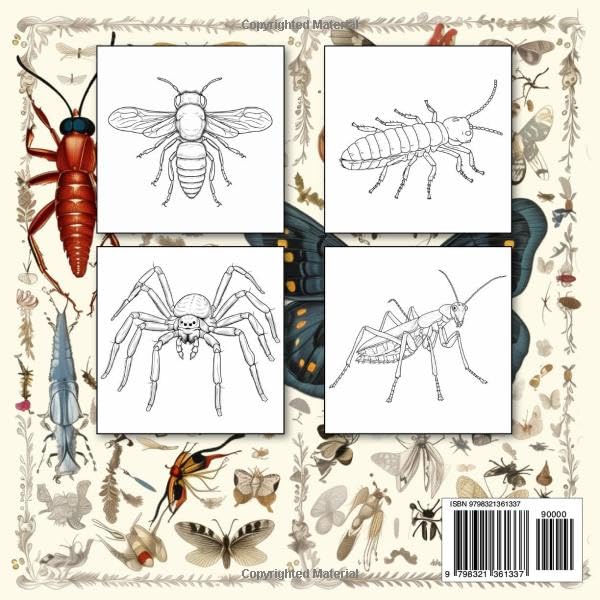 Bugs And Insects Coloring Book: Color And Chill Coloring Book | 50 Spe ...