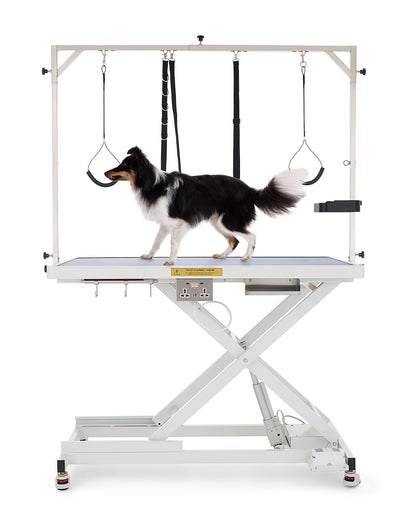 CO-Z Electric Dog Grooming Table, 50" Heavy Duty Pet Grooming Table with Height Adjustable Leveling Wheels 4 Nooses Tool Organizer, Large Dog Grooming Station for Pets Bathing Drying, 240lb Cap, White