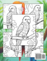 Parrot Coloring Book For Kids: +40 Fun And Easy Drawings Of Cute Parrot To Color For Kids, Boys And Girls Who Love Parrots, Stressrelief Relaxing Majosta