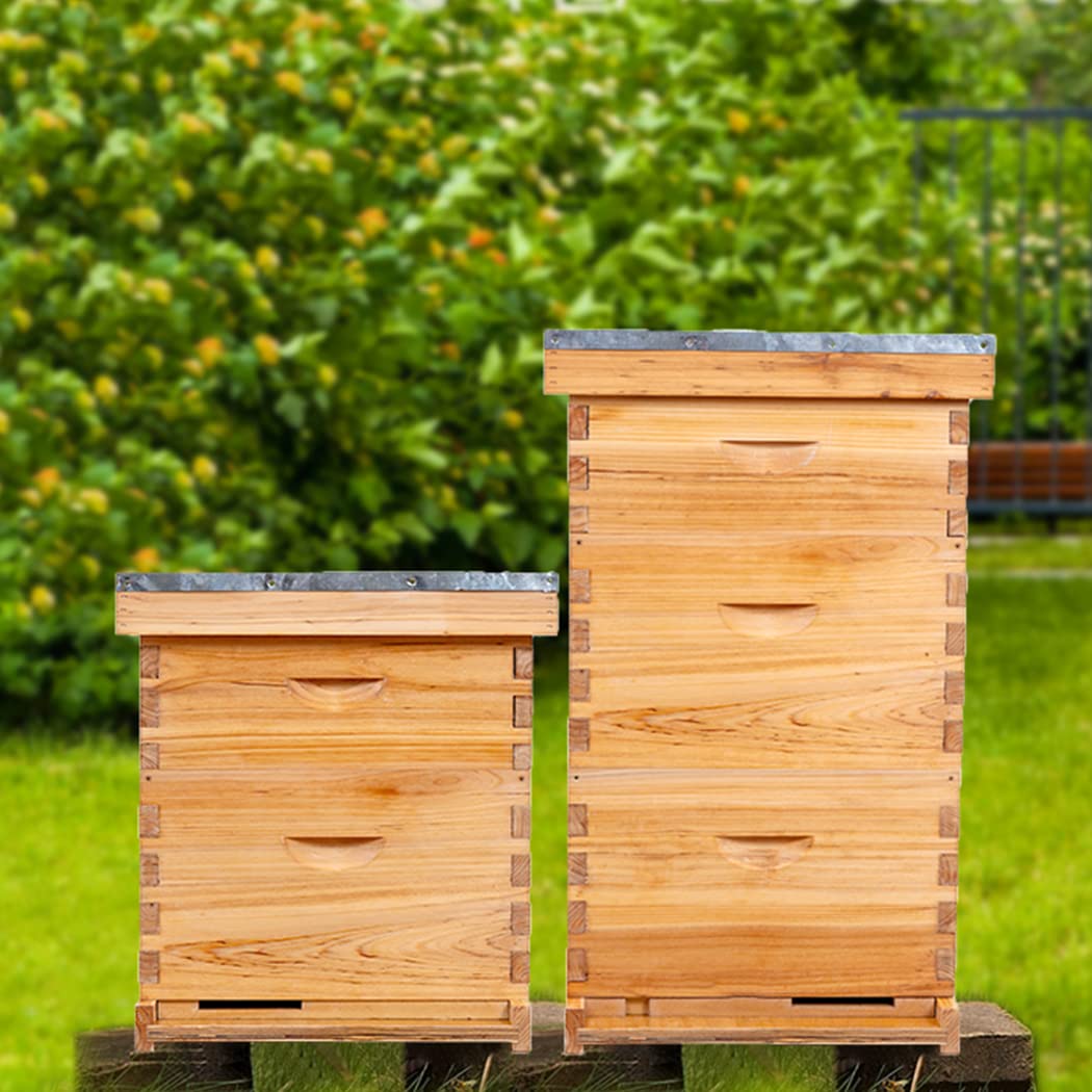 POLLIBEE Bee Hive Starter Kit, 8 Frame Bee Hives, Hive Include1 Deep Bee Box 1 Medium Beehive Box with Bee Frames and Wax Foundation,Unassembled Beehive Starter Kit for Beekeeper POLLIBEE