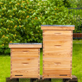POLLIBEE Bee Hive Starter Kit, 8 Frame Bee Hives, Hive Include1 Deep Bee Box 1 Medium Beehive Box with Bee Frames and Wax Foundation,Unassembled Beehive Starter Kit for Beekeeper POLLIBEE