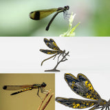 3D Wooden Animal Carving LED Night Light, Wood Carving Light, Modern Home Decoration, Decorative Tables, Cabinets, Living Rooms, Bedrooms, Offices, Farmhouses, Bookshelves, Perfect Holiday Gifts Tivisiy