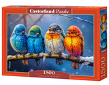 CASTORLAND 1500 Piece Jigsaw Puzzles, Together Warmer, Animal Puzzle, Colorful Birds, Adult Puzzle, Castorland C-152193-2 Castorland