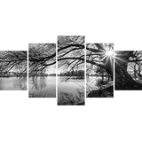 DIY 5D Full Diamond Art Kit,Black and White Tree Lake Surface Sunshine 5 Piece Multi Diamond Art Kits for Adults Paint with Diamonds Kits Diamonds Embroidery by Numbers 17.7x37.4 inch GOJOSOWIN