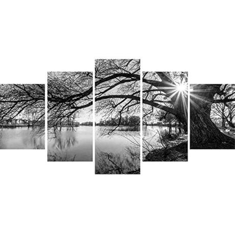 DIY 5D Full Diamond Art Kit,Black and White Tree Lake Surface Sunshine 5 Piece Multi Diamond Art Kits for Adults Paint with Diamonds Kits Diamonds Embroidery by Numbers 17.7x37.4 inch GOJOSOWIN