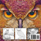 Owl Coloring Book for Adults: Relaxing Woodland Scenes Majosta