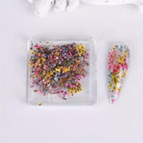 3D Dried Flower for Nails, Flower Nail Art Stickers 1Box Mixed Dried Flowers for Nail Art Resin DIY Crafts Natural Real Dry Flower Decals for Spring Summer Manicure Nail Art Decorations (Style3) SINSEN