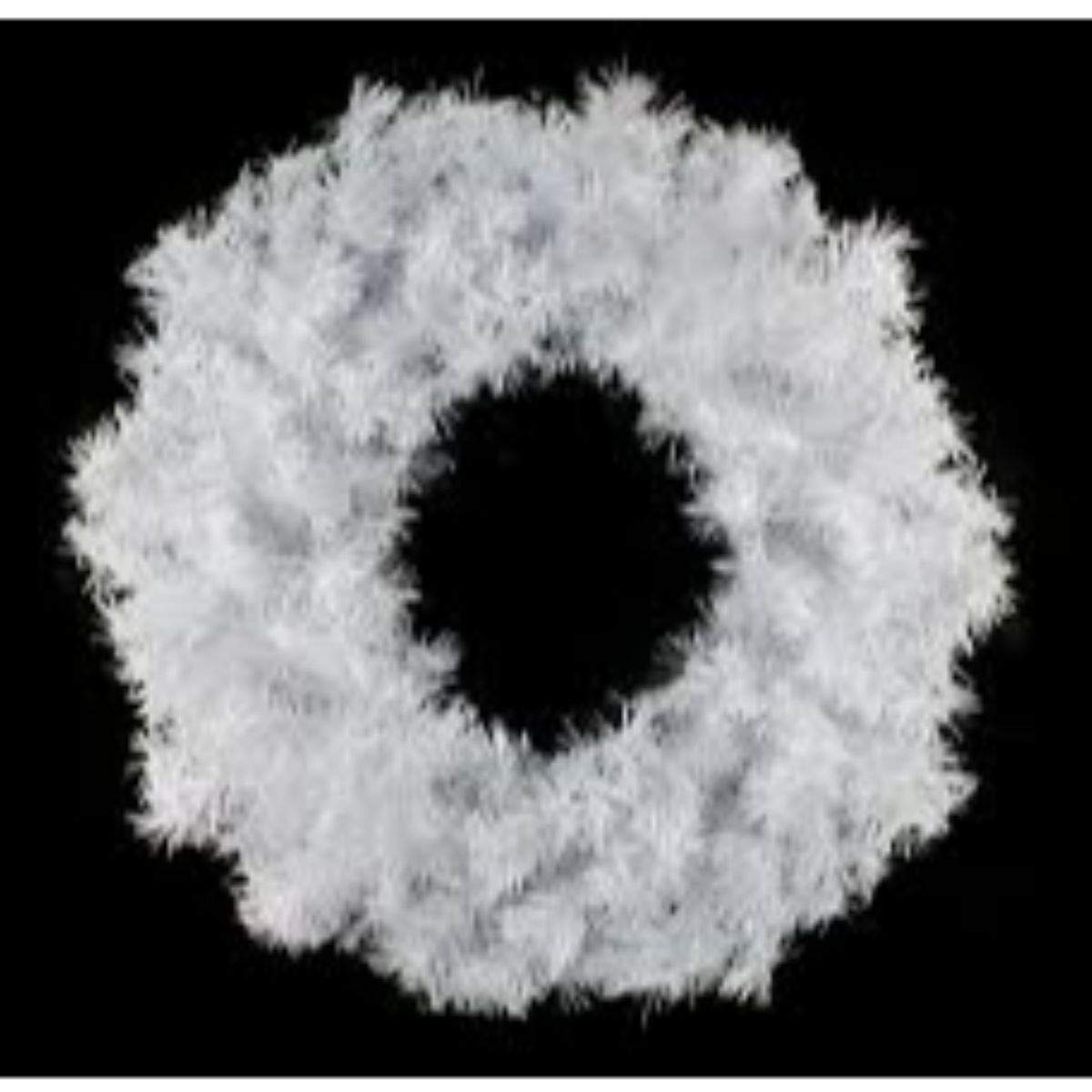 Northlight Unlit White Canadian Pine Artificial Christmas Wreath, 24" Northlight