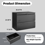 Approgreent 2 Drawer File Cabinet, File Cabinets for Home Office, Printer Stand, File Cabinet with Lock, Lateral Filing Cabinet for A4/Letter/Legal Size File Folders, Assembly Required(Black) Approgreent