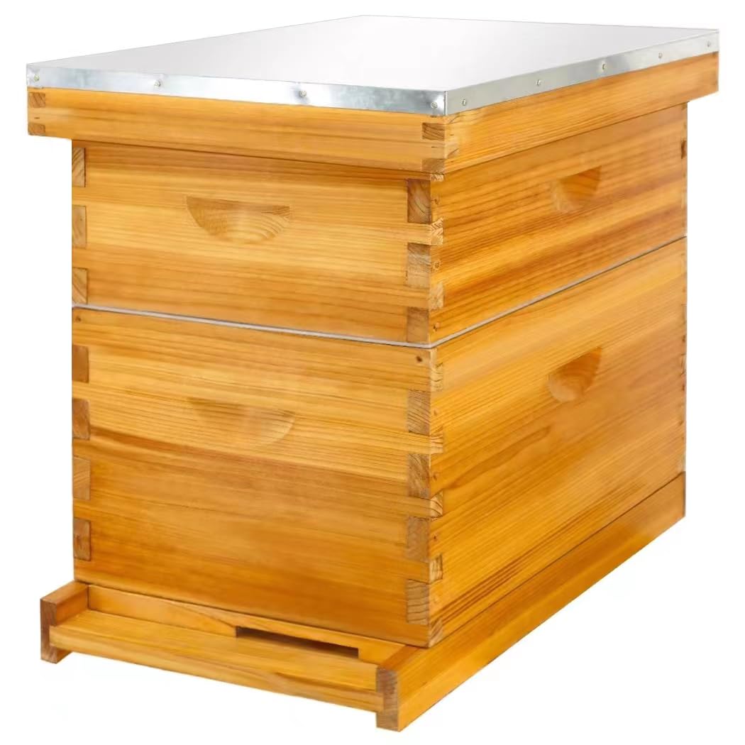 Honey Lake 8 Frame Complete Bee Hive Starter Kit for Beekeepers Dipped in 100% Beeswax Includes Deep Brood Box & Medium Super Bee Box with Beehive Frames and Waxed Foundation Sheet (2 Layer) Honey Lake