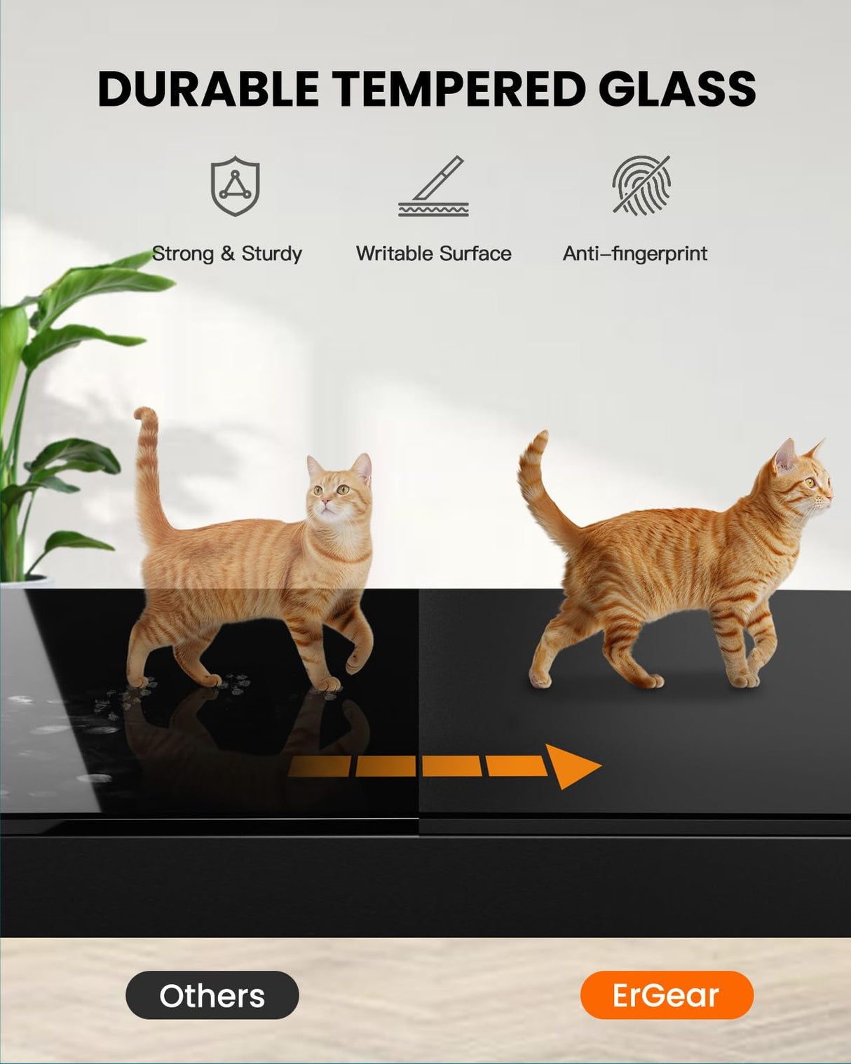 ErGear Standing Desk with Drawer, Glass Top One Piece, 48x24 inch Height Adjustable Desk, Electric Standing Desk with Charging Ports, Sit Stand Up Desk for Home Office(Black Glass Top) ErGear