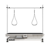Afqxf Electric Lift Dog Grooming Table, 50 Inch Heavy Duty Professional Pet Grooming Table Suitable for Large Dogs at Home with Adjustable Overhead Arms and 2 Grooming Noose, White Afqxf