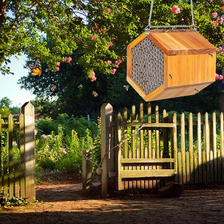 Mason Bee House - Handmade Natural Wooden Bee Hive Coated with Wax for Water-Proof and Long Service Life - Attracts Peaceful Bee Pollinators to Your Garden,Carpenter Bee Houses for Garden POLLIBEE