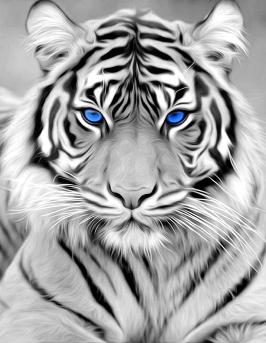 RICUVED Diamond Art Kits for Adults, White Tiger Diamond Art Full 5D Diamond Art Kits Tiger Rhinestone Picture Art Craft for Home Wall Decor 11.8x15.7 Inch RICUVED