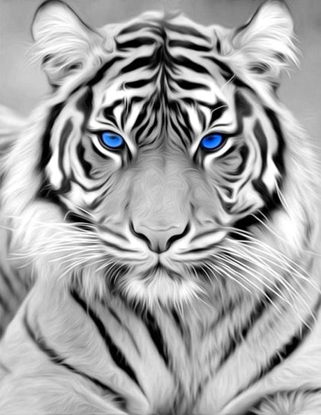 RICUVED Diamond Art Kits for Adults, White Tiger Diamond Art Full 5D Diamond Art Kits Tiger Rhinestone Picture Art Craft for Home Wall Decor 11.8x15.7 Inch RICUVED
