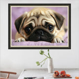 MaiYiYi Pug Diamond Painting by Numbers, 5D Full Round Drill Pug Diamond Art Kit, Cute Dog Face Diamond Painting for Adult Beginner Wall Decor Arts Crafts (40 x 30 cm) MaiYiYi