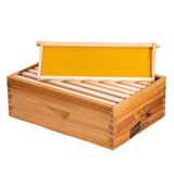 8-Frame Beehive Box Langstroth Medium Super Bee Box for Sale Wax Coated Bee Hives Includes Wooden Frames & Waxed Foundations MayBee