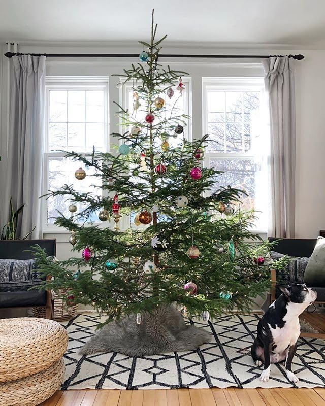 Rocky Mountain Goods Live Christmas Tree Stand for up to 5 Foot Real Tree - Heavy Duty Plastic with 3 Secure Eye Bolts for Easy/Secure Install - Steel Center Spike for Straight Tree - Easy Water Rocky Mountain Goods