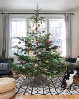 Rocky Mountain Goods Live Christmas Tree Stand for up to 5 Foot Real Tree - Heavy Duty Plastic with 3 Secure Eye Bolts for Easy/Secure Install - Steel Center Spike for Straight Tree - Easy Water Rocky Mountain Goods