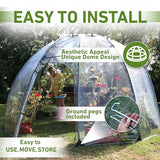 Tierra Garden 50-2510 Haxnicks Garden Sunbubble Greenhouse, Large Tierra Garden