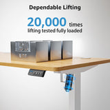 MOUNTUP Electric Height Adjustable Standing Desk, 48 x 24 Inches Sit Stand Desk with Memory Controller, Ergonomic Stand Up Desk for Home Office with Splice Board, Oak MOUNTUP