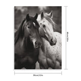 TKJMCSW Black and White Horses Paint by Numbers Kit for Adults Beginners Adult Paint by Number Kits on Canvas DIY Acrylic Oil Paints Paintwork with Paintbrushes for Gift Home Wall Decor 12x16inch TKJMCSW