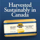 Dutchman’s Gold Canadian Yellow Beeswax Block - Pack of 12 (1 oz Each) - Cosmetic-Grade Natural Beeswax for Candle Making, Soap, Crafts, Beauty - Pure Beeswax Bars - Safe and Easy to Melt Dutchman's Gold