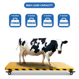 W B D WEIBIDA 2-inch Plate Swivel Caster Wheels Set of 4 Heavy Duty, Load Capacity 2200lbs, Low Gravity Center Black Extra Width Caster with Brake, Durable & Quiet & Sturdy Nylon Wheels for Industrial W B D WEIBIDA