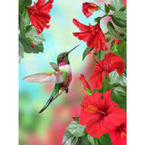 HSENJT DIY 5D Diamond Craft Painting Kits Bird,Flowers Diamond Art for Adults,Hummingbird Diamond Arts Crafts for Wall Decor Gift Relaxation (30x40cm/11.8X15.7inch) HSENJT