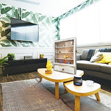 LITAITAI 12 x17inch Shadow Box Frame with Shelves,1 Drawer 3 Removable Shelfs–Wooden Acrylic Display Cases, Wall Mount Keepsake Box,Shadow Box with LITAITAI