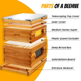 Honey Lake 10 Frame Bee Hive, Langstroth Complete Beehive Kit with Windows Dipped in 100% Beeswax with Beehive Frames and Waxed Foundations (1 Deep Brood Bee Hive Box & 1 Medium Super Bee Box) Honey Lake