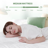 HOXURY Full Mattress, 14 Inch Green Tea Memory Foam Mattress in a Box, Medium Firm Full Size Mattress for Pressure Relief, CertiPUR-US Certified HOXURY