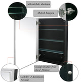 FOMAYKO Modern Medicine Cabinet Mirror Storage for Bathroom Bedroom Surface/Recessed Mount with 3 Shelves (16"x26", Brushed Silver) FOMAYKO