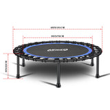 Newan 40'' Silent Fitness Mini Trampoline - Indoor Rebounder for Adults - Best Urban Cardio Jump Fitness Workout Trainer, Covered Bungee Rope System - Max Limit 330 lbs NEWAN