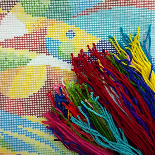 Brvsk Colorful Embroidery Kit for Adults and Beginners — Abstract Fish 16″ × 16″ with Clear, Precise Printed Design on Cotton Canvas; Includes 2 Needles, Yarn, and Easy-Read Chart