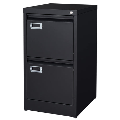 BYNSOE 2 Drawer File Cabinet with Lock Metal Vertical Filing Storage Cabinet Office Home Steel Vertical File Cabinets for A4 Legal/Letter Size Narrow File Cabinet Locked,Assembly Required BYNSOE