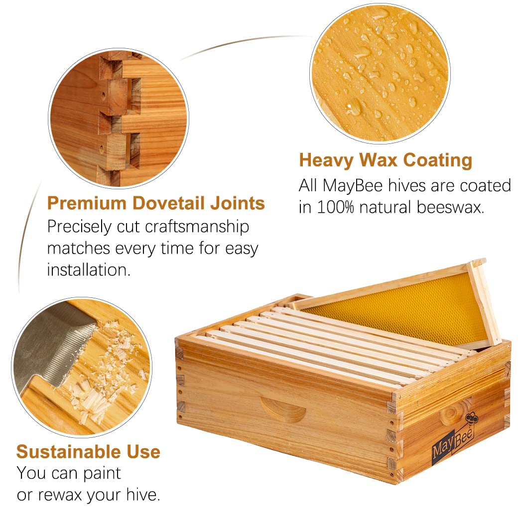 8-Frame Beehive Box Langstroth Medium Super Bee Box for Sale Wax Coated Bee Hives Includes Wooden Frames & Waxed Foundations MayBee