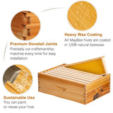 8-Frame Beehive Box Langstroth Medium Super Bee Box for Sale Wax Coated Bee Hives Includes Wooden Frames & Waxed Foundations MayBee