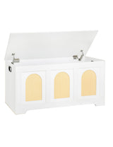 DINZI LVJ Storage Chest, 39.4" Rattan-Like Storage Box with 2 Safety Hinges, Wooden Entryway Shoe Bench with Flip-Top, Trunk for Living Room, Bedroom, Easy Assembly, White and Natural DINZI LVJ