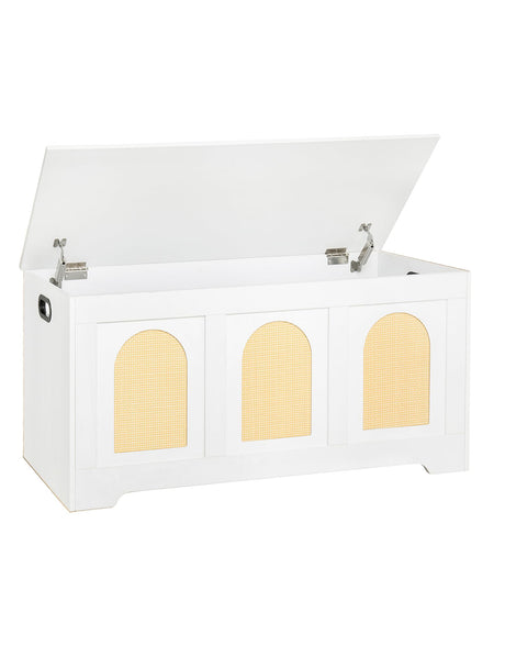 DINZI LVJ Storage Chest, 39.4" Rattan-Like Storage Box with 2 Safety Hinges, Wooden Entryway Shoe Bench with Flip-Top, Trunk for Living Room, Bedroom, Easy Assembly, White and Natural DINZI LVJ